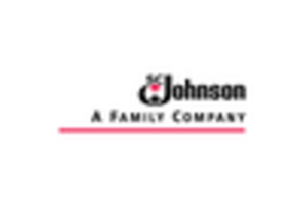 US Polishing Cleaner Market key player