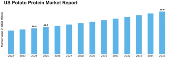 US Potato protein market Size