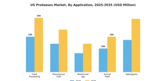 US Proteases Market Segment Image 0