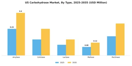 US Carbohydrase Market Segment Image 4