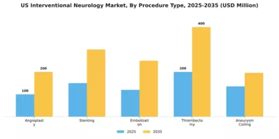 US Interventional Neurology Market Segment Image 2