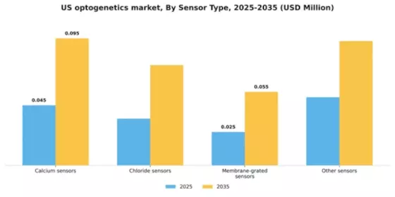 US Optogenetics Market Segment Image 2