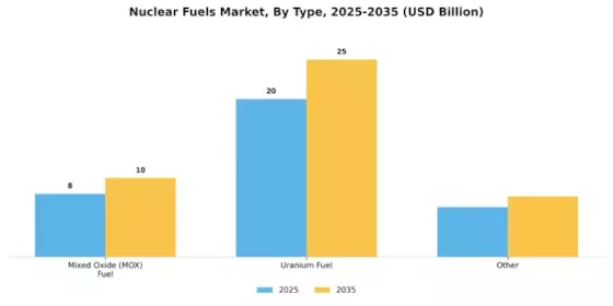 Nuclear Fuels Market Segment Image 2