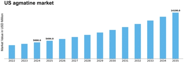 US Agmatine Market Size