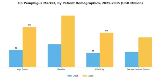 US Pemphigus Market Segment Image 1