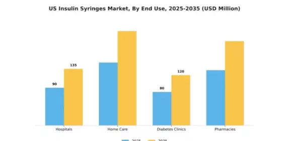 US Insulin Syringes Market Segment Image 1
