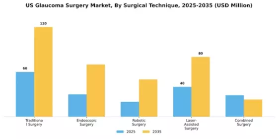 US Glaucoma Surgery Market Segment Image 4