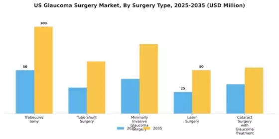 US Glaucoma Surgery Market Segment Image 3