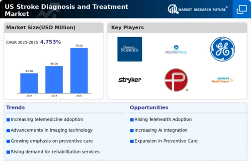 US Stroke Diagnosis and Treatment Market Infographic