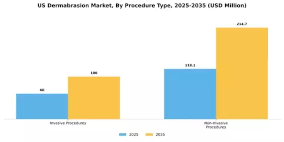 US Dermabrasion Market Segment Image 3