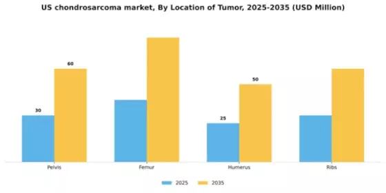 US Chondrosarcoma Market Segment Image 1