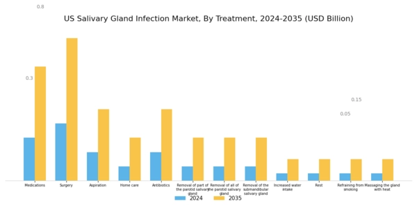 US Salivary Gland Infection Market Segment Image 1