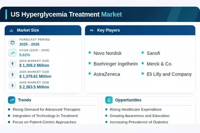 US Hyperglycemia Treatment Market Infographic
