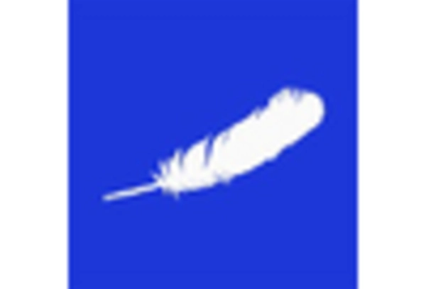 US Orbital Spaceflight Market key player