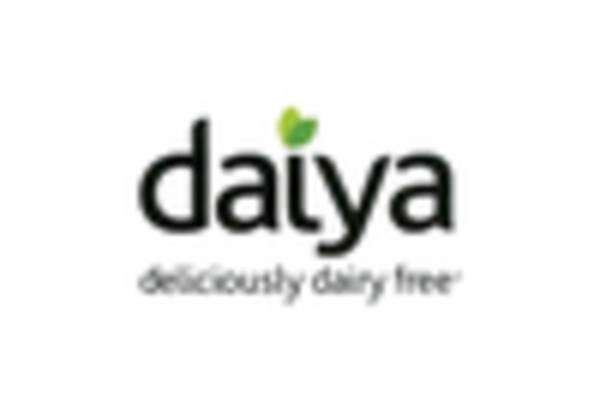 US Dairy Free Cream Cheese Market key player