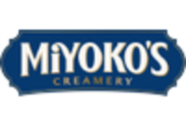 US Dairy Free Cream Cheese Market key player