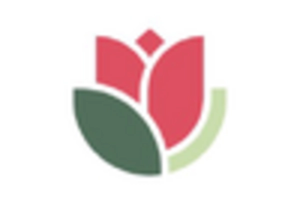 US Artificial Plants Market key player