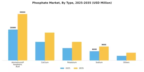 Phosphate Market Segment Image 1