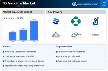 TD Vaccine Market Infographic