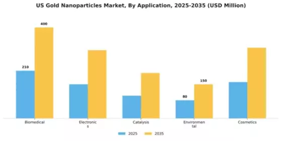 US Gold Nanoparticles Market Segment Image 0