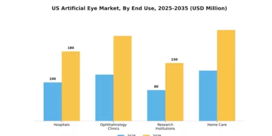 US Artificial Eye Market Segment Image 1