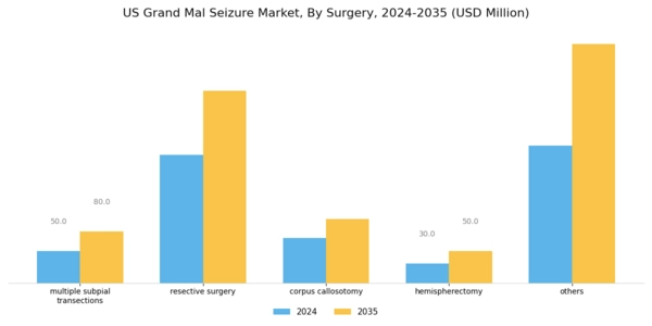 US Grand Mal Seizure Market Segment Image 3