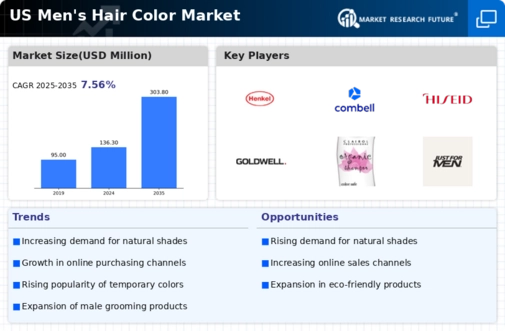 US Men Hair Color Market Research Report - Forecast Till 2035 Infographic