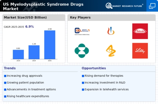 US Myelodysplastic Syndrome Drugs Market Infographic