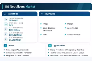 US Nebulizers Market Infographic
