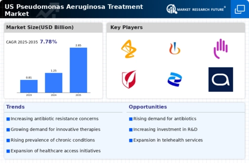 US Pseudomonas Aeruginosa Treatment Market Infographic