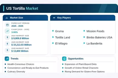 US Tortilla Market Infographic