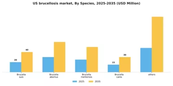 US Brucellosis Market Segment Image 2