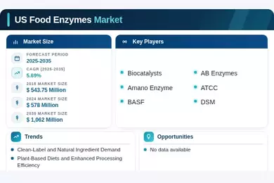 US Food Enzymes Market Infographic