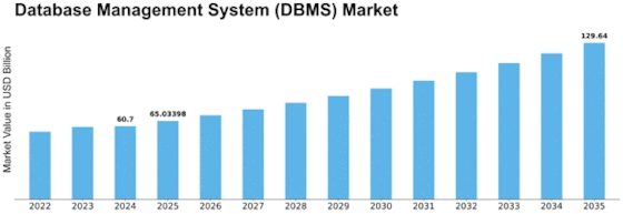 Database Management System Market Size