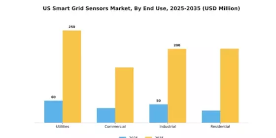 US Smart Grid Sensors Market Segment Image 2