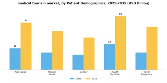 Medical Tourism Market Segment Image 0