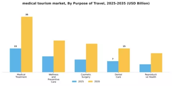 Medical Tourism Market Segment Image 2