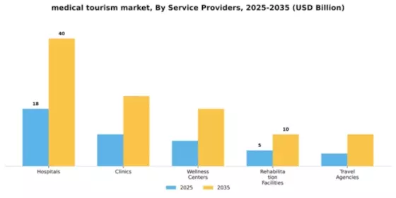 Medical Tourism Market Segment Image 3