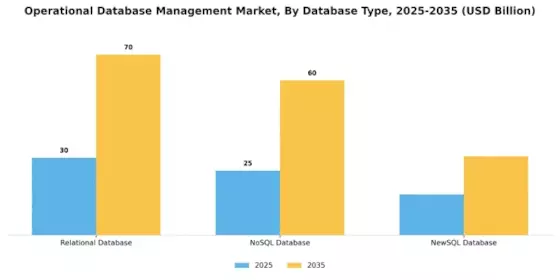 Operational Database Management Market Segment Image 1