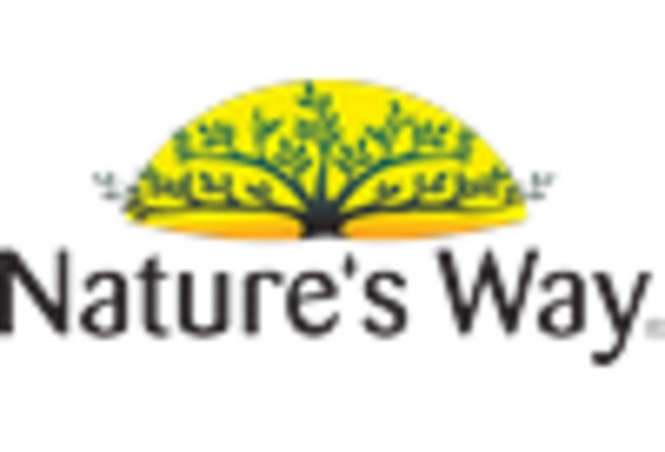 US Ginger Extract Market key player