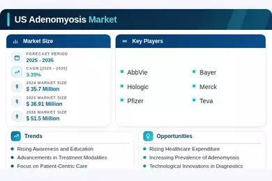 US Adenomyosis Market Infographic