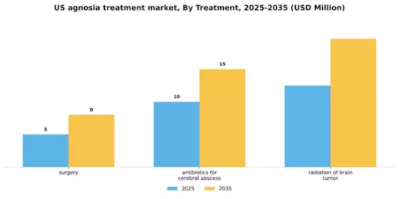 US Agnosia Treatment Market Segment Image 2