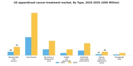 US Appendiceal Cancer Treatment Market Segment Image 2