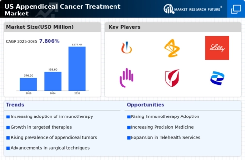 US Appendiceal Cancer Treatment Market Infographic