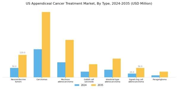 US Appendiceal Cancer Treatment Market Segment Image 0