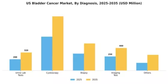 US Bladder Cancer Market Segment Image 0