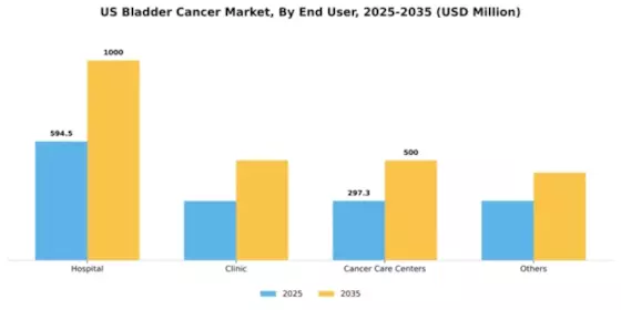 US Bladder Cancer Market Segment Image 1