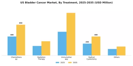 US Bladder Cancer Market Segment Image 2