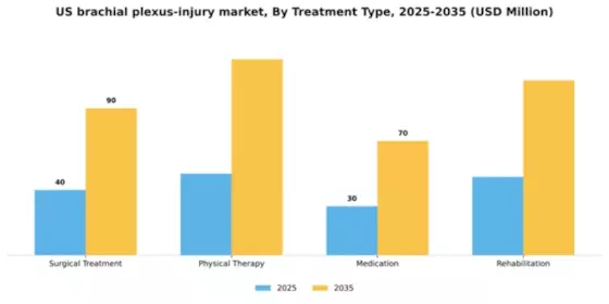 US Brachial Plexus Injury Market Segment Image 2