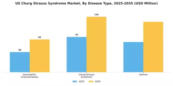 US Churg Strauss Syndrome Market Segment Image 0